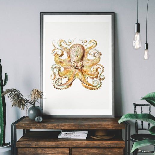 Vintage Octopus Illustration Print ~ Ernst Haeckel