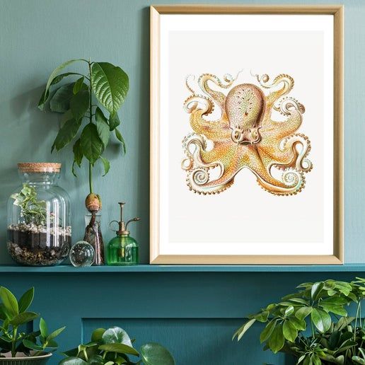 Vintage Octopus Illustration Print ~ Ernst Haeckel