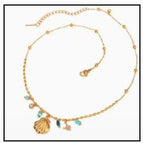 Dainty Sea Shell