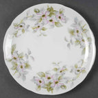 Salad Plate