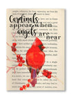 Cardinals Appear When Angels are Near