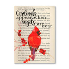 Cardinals Appear When Angels are Near