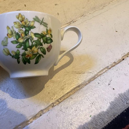 Vintage China ~ Portmeirion Botanic Garden Tea Cup