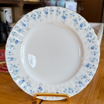 Vintage China ~ Royal Albert Bone China, Memory Lane Collection