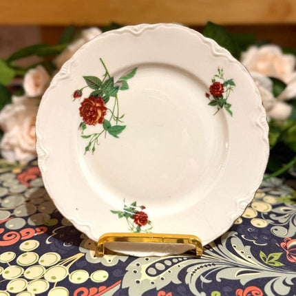 Vintage China ~ Royal China 22krt Gold