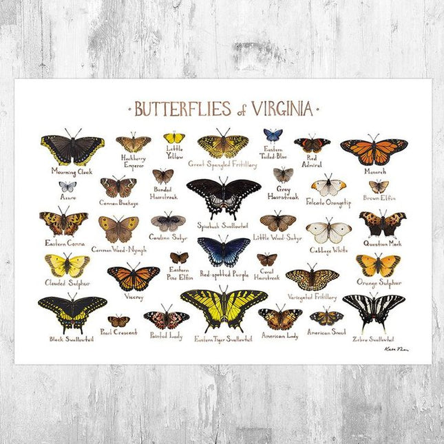 Virginia Field Guide Art Prints – Birds & Butterflies of Virginia