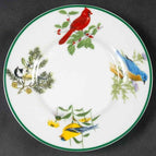 Saucer