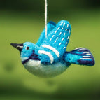 Cerulean Warbler