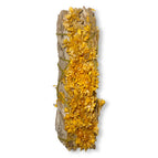 Yellow Sinuata Flower with White Sage
