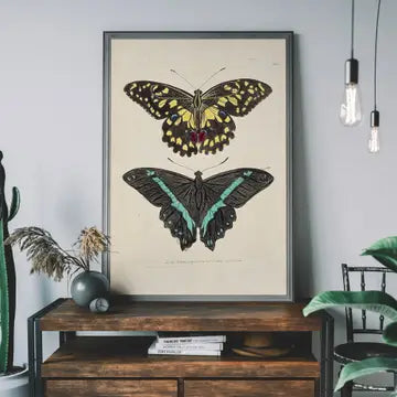 Vintage Butterflies Print