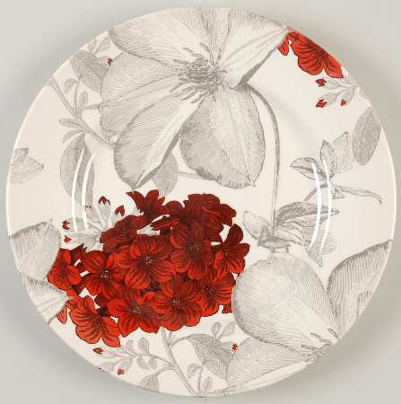Vintage China ~ Clematis Red Salad Plates by Andrew Tanner