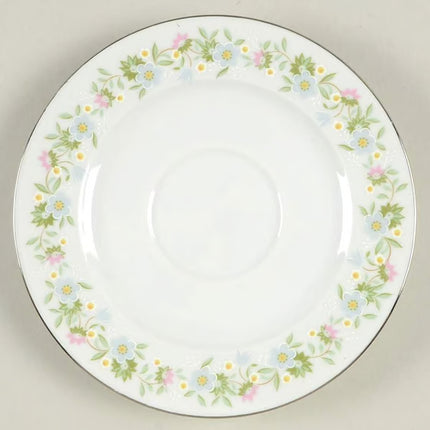 Vintage China ~ Forever Spring by Johann Haviland