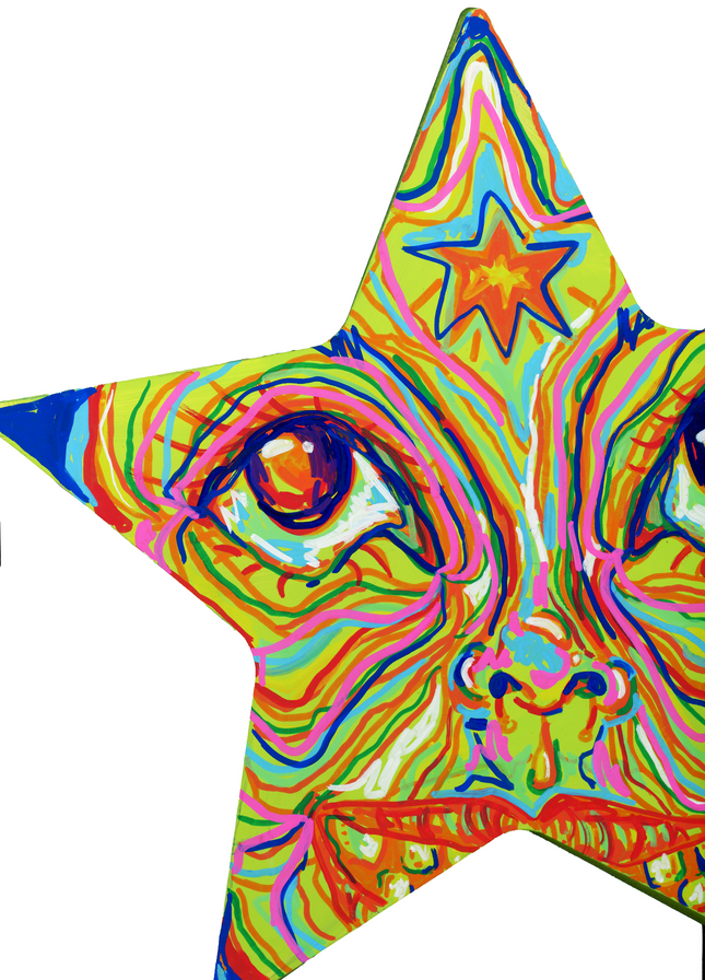 Star Doodle Studios Wall Art ✨