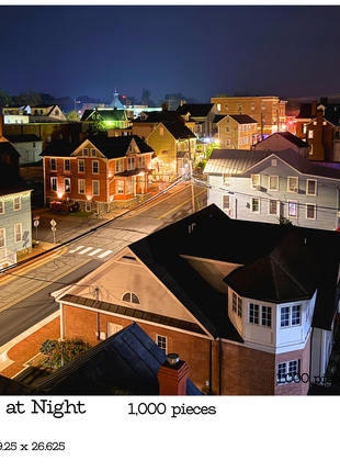 1,000-Piece Leesburg Puzzle Collection by Puzzled AF