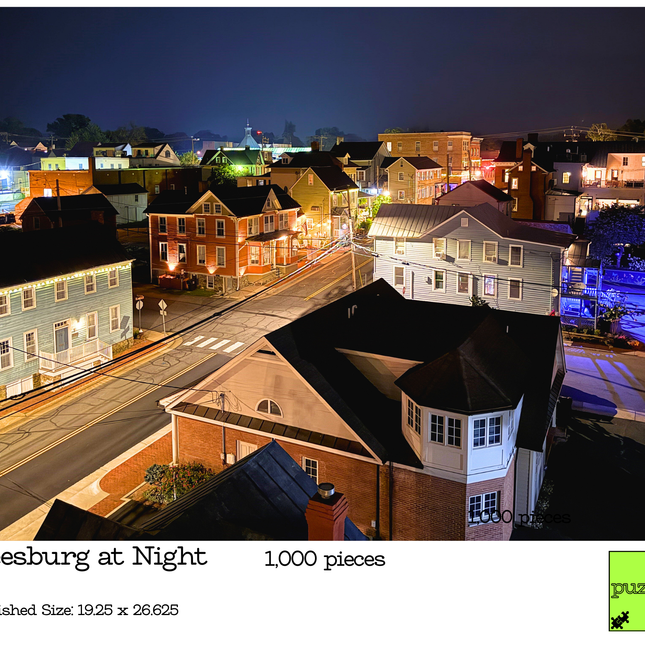 1,000-Piece Leesburg Puzzle Collection by Puzzled AF