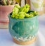 Jennifer Bodamer Pottery