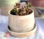 Jennifer Bodamer Pottery