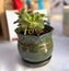 Jennifer Bodamer Pottery