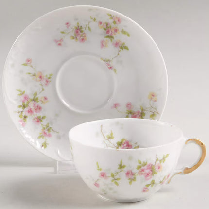 Vintage China ~ Schleiger 150 by Theodore Haviland