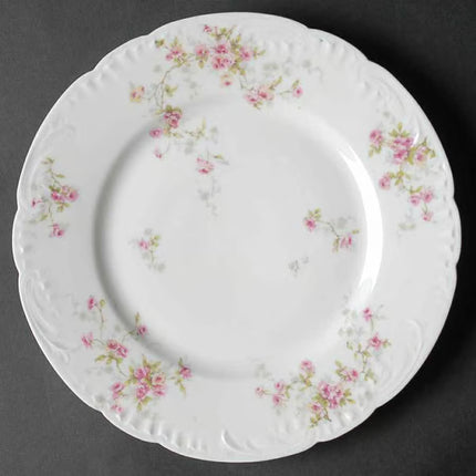 Vintage China ~ Schleiger 150 by Theodore Haviland