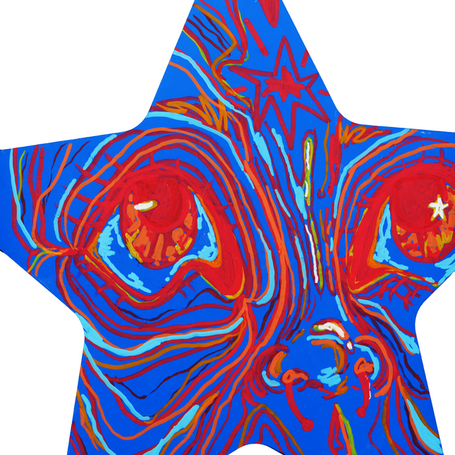 Star Doodle Studios Wall Art ✨