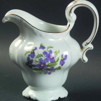 Vintage China ~ Violetta By Johann Haviland