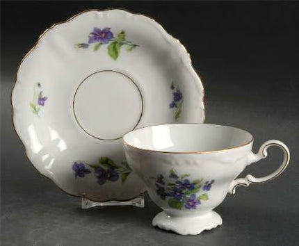 Vintage China ~ Violetta By Johann Haviland