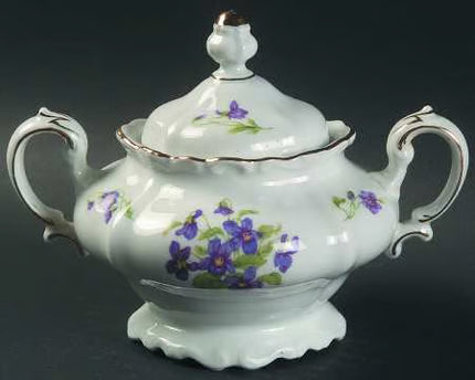 Vintage China ~ Violetta By Johann Haviland